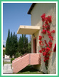 Green Corner villas